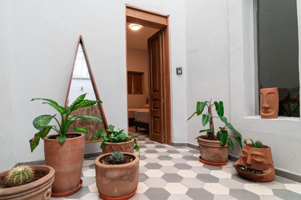 Casa Del Desierto Villa Guadalajara Eksteriør billede